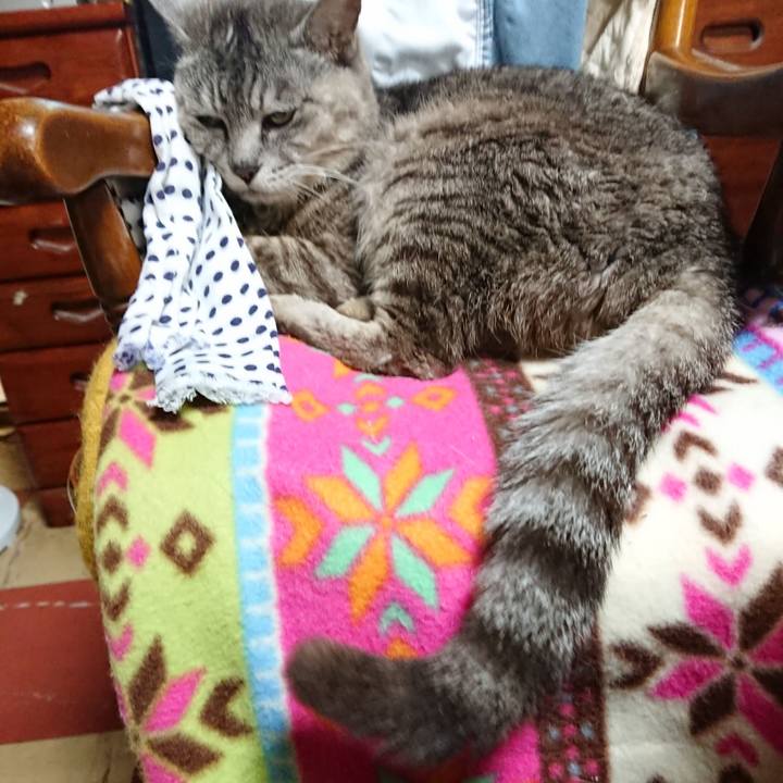 Fa190d8d 2533 4933 9bae 9d945cdd77db 1565438318450