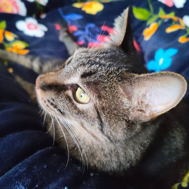 Fa19dd82 18d9 4038 972f d0bf59fb9b5d 1767437543345