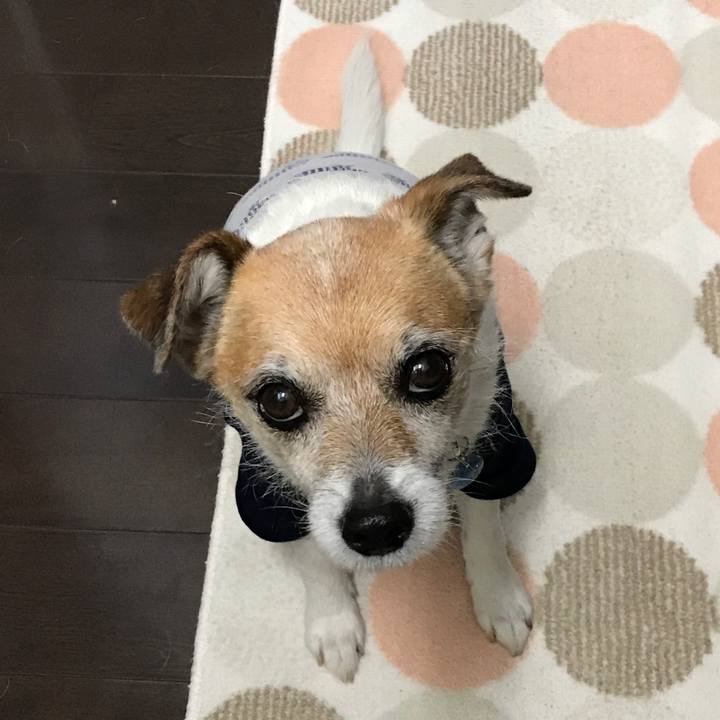 Fa19ed22 2332 4e2e a6f9 382240b6ab22 1618392027124