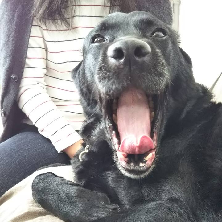 Fa1a3cea 8fa0 4816 9b7e 04942ead5b27 1745620497774