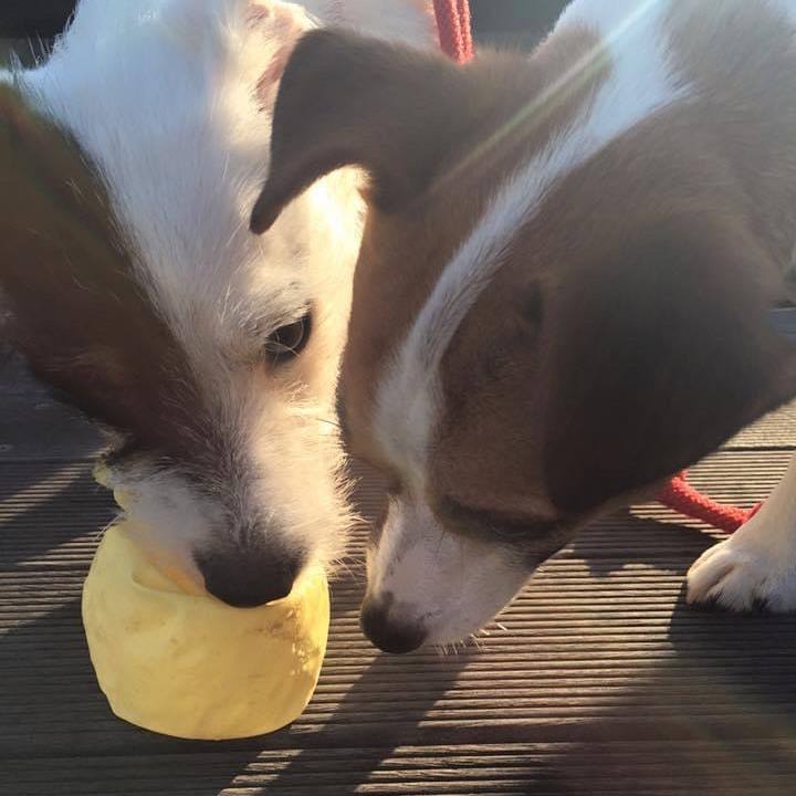 Fa1a4326 4ed5 4cf9 b2b7 87595baebada 1657450884290