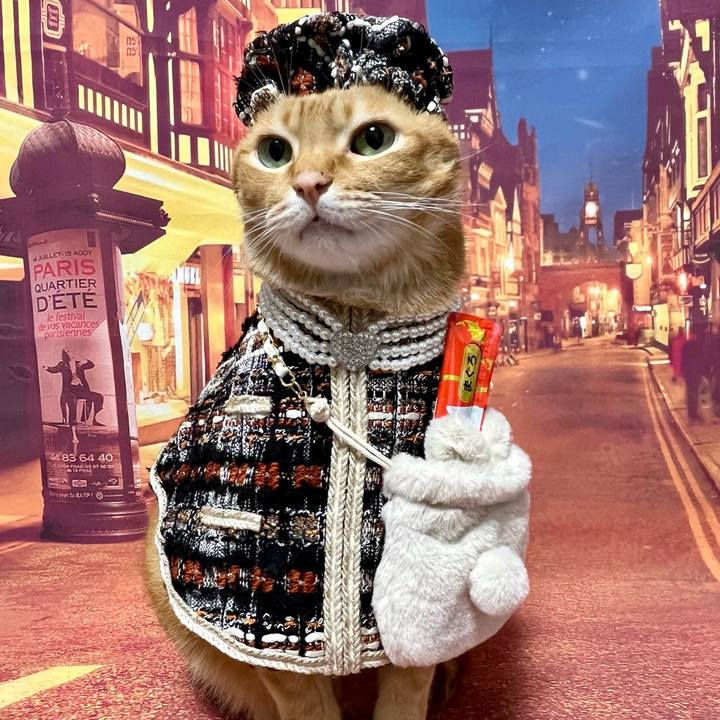 Fa1a4522 90e2 4e4b 94c5 6d617eb7d23b 1730542365654