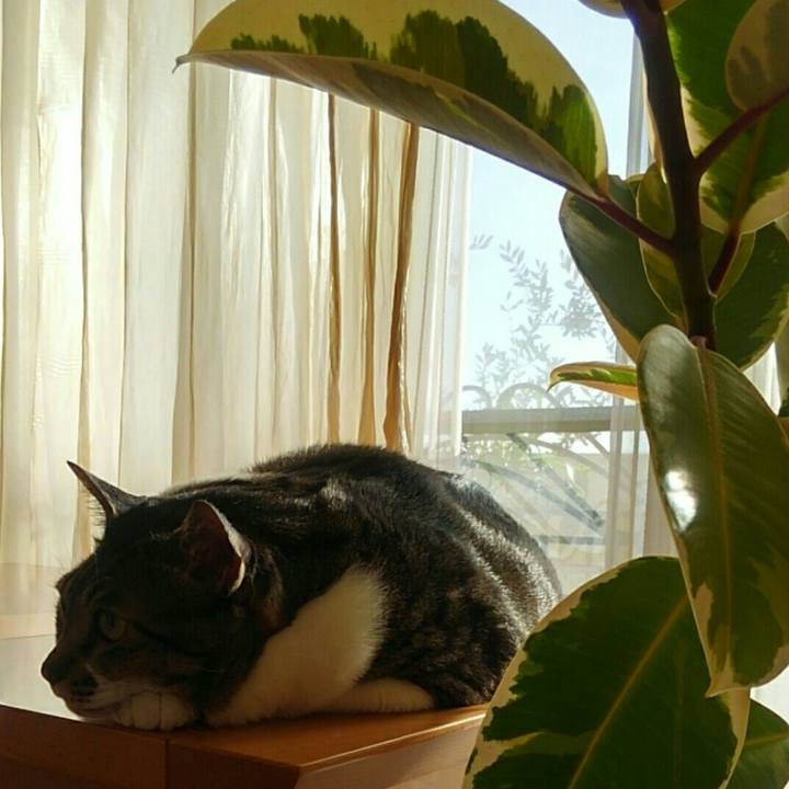 Fa1aa238 5dc1 4cd6 b258 eddce6c29df7 1508975779193