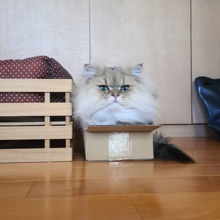 Fa1adadd 475a 4ccc a8b3 d95d0cc2b0a8 1612343848510