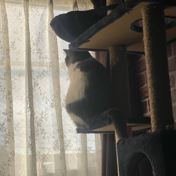 Fa1ade45 c9e3 47fa 994e e3f3c9237e23 1733553808565