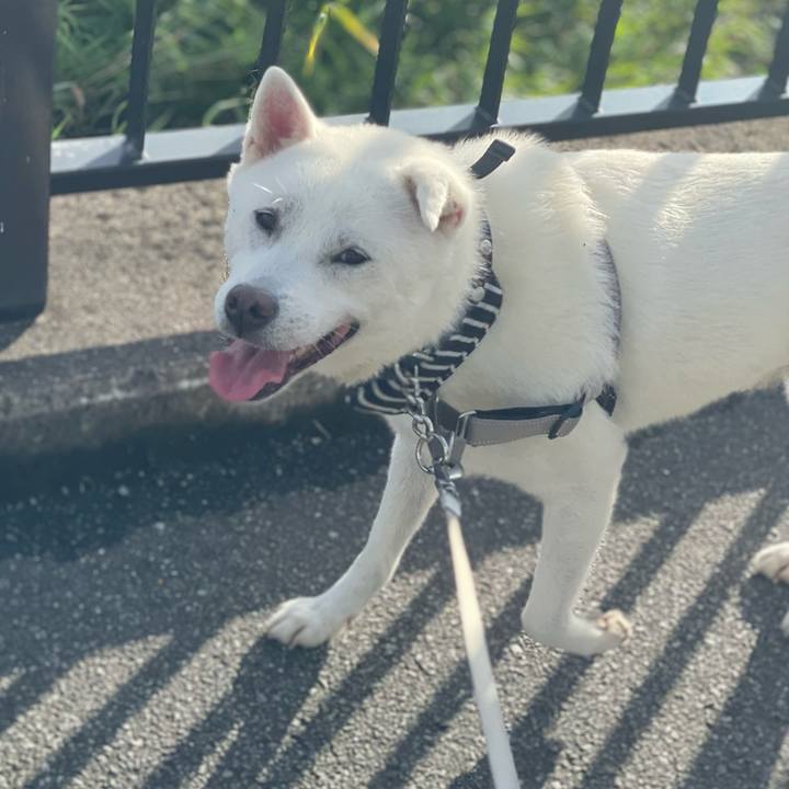 Fa1ae434 1c83 4f06 8b54 55b8137f6e80 1752357434185