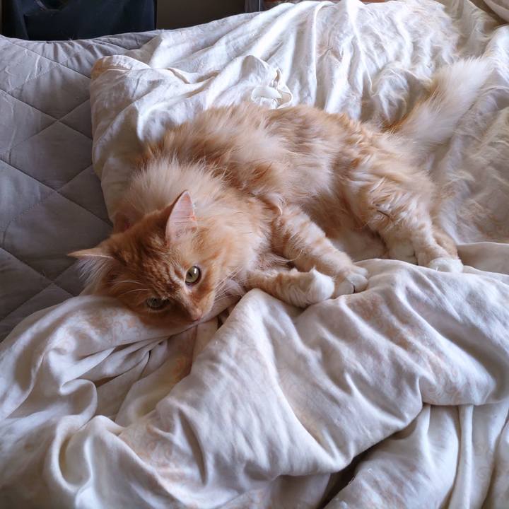 Fa1b2e7c 075a 4f50 a80b feafe8bd7042 1686174796527