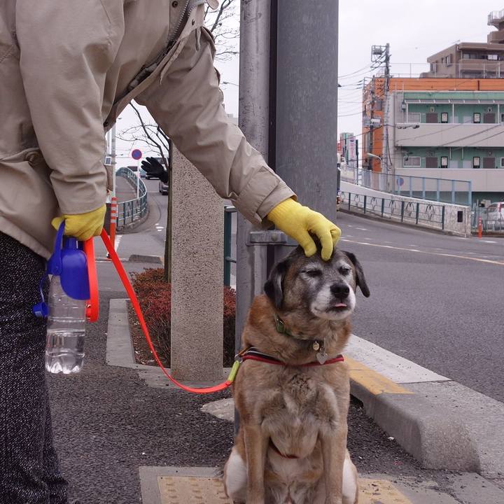 Fa1b3596 5168 4433 ae08 2b96324781e0 1519522338514