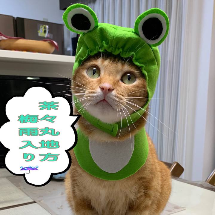 Fa1b54e4 4bd7 4480 b82a be21f3254e12 1685398725915