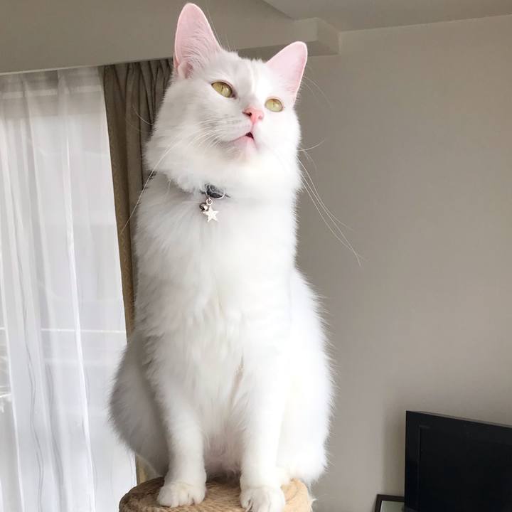 Fa1b569b 1722 496d a49e 549dc1b41bbd 1573615291790