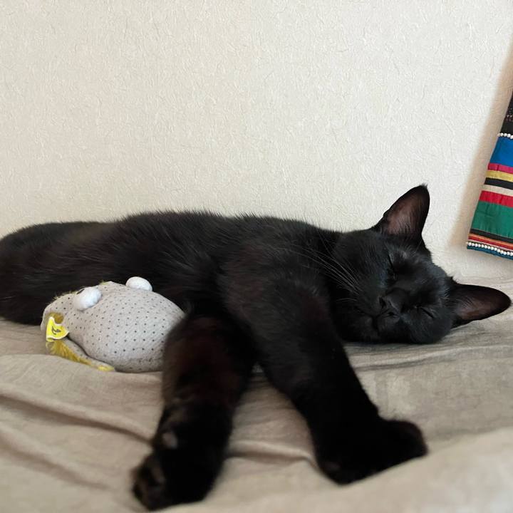 Fa1b6bb2 a6e5 419f bda9 59f66f61f0f2 1723882321530