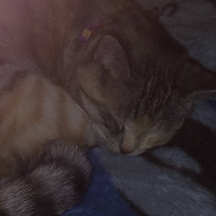 Fa1b7661 b686 4cec 8956 a44913fea484 1547222660061