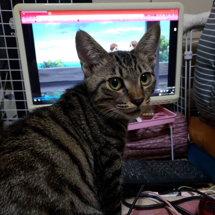 Fa1b92f7 2447 4b75 bb8c 76f81b1b2fd4 1541845280861