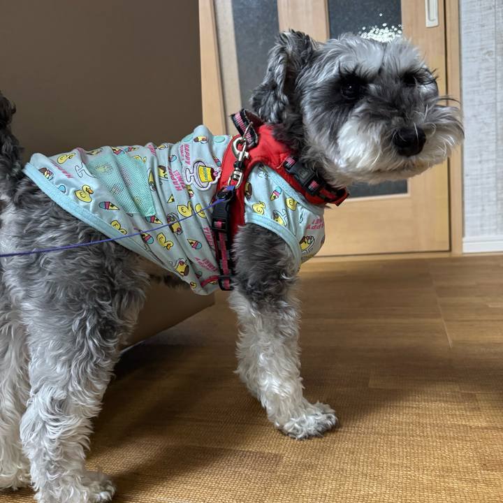 Fa1b97eb 445b 44c5 b533 dee8c483d29b 1776072349659