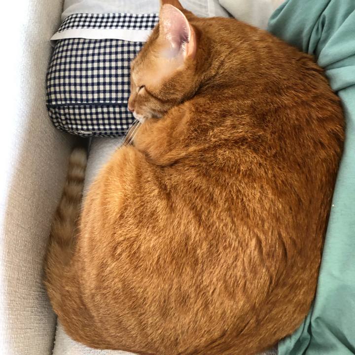 Fa1b9c7b 951b 4f28 a598 6e75ca51c154 1626909588855