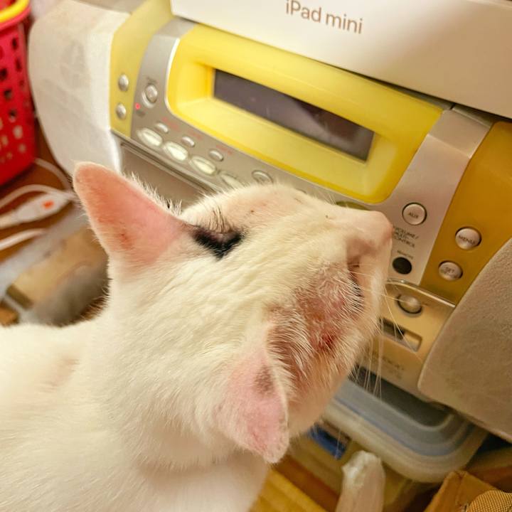 Fa1ba2f9 17b4 48bd 81e4 7429c3261649 1756680875226