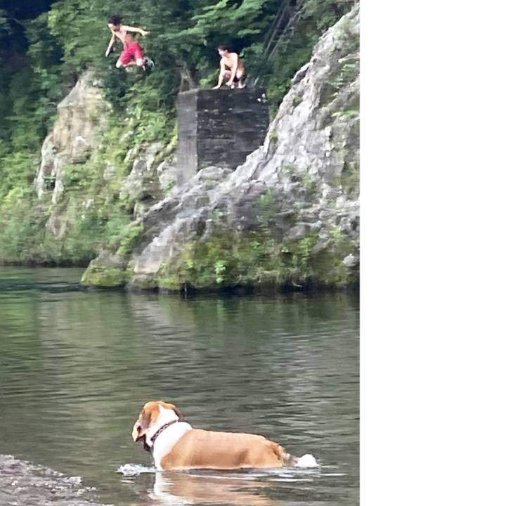 Fa1bbe69 f2a4 43a2 9685 0d30ada99c75 1722212250294