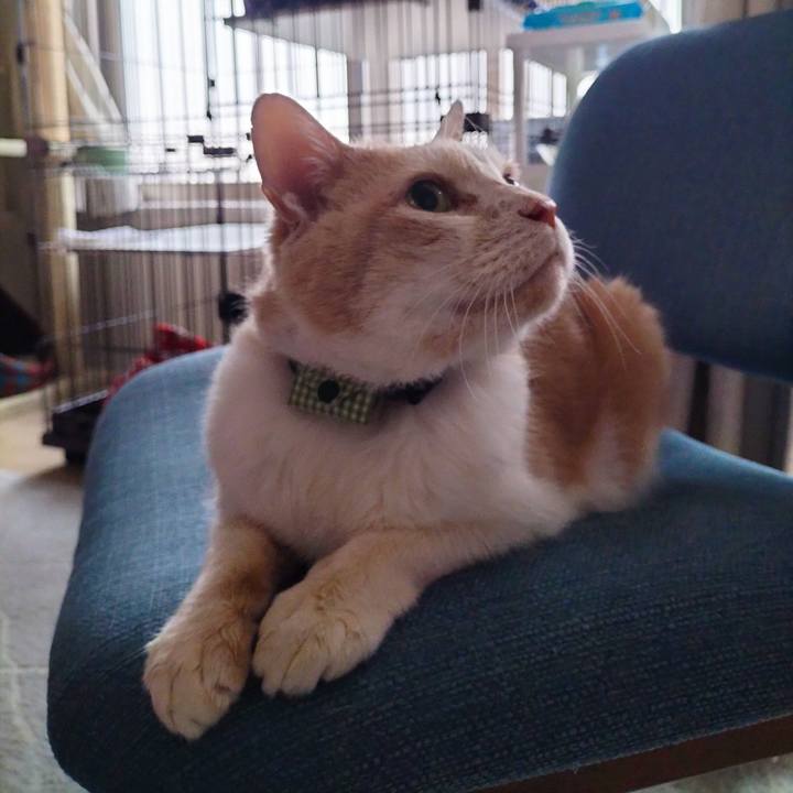 Fa1bc1b1 d19f 4511 aa1f af12b4383ad4 1710888524587