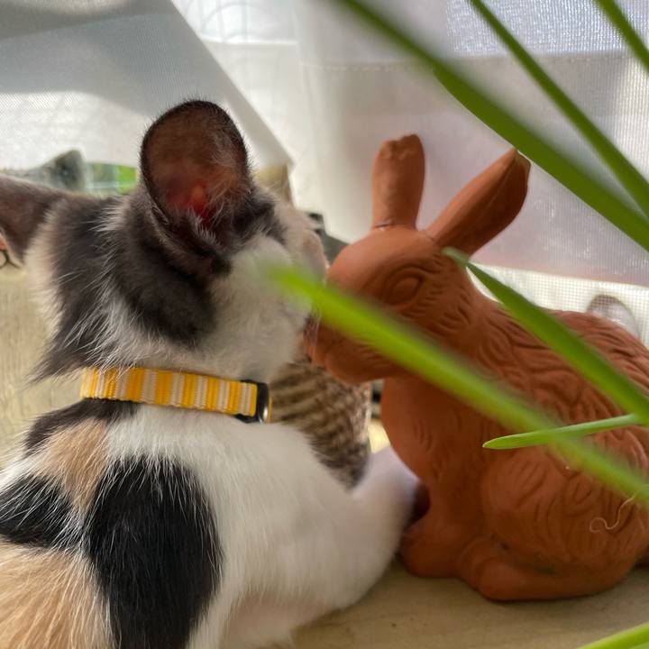 Fa1c4438 a91d 4bcf 84cd 9d66a6344128 1658532373278