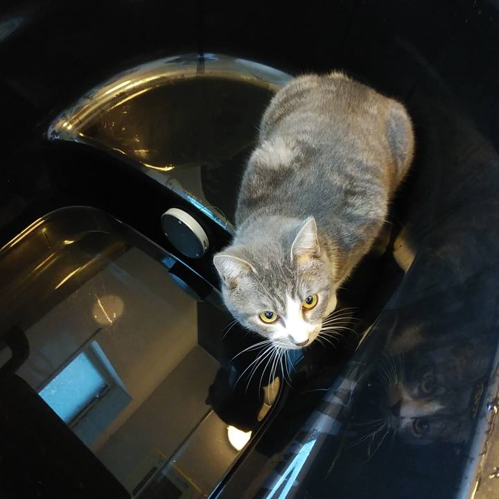 Fa1c5a47 f92f 44d9 ac7f 546ebe70a7be 1576625375293