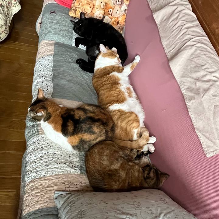 Fa1ca1a9 9f08 46fc 9753 57f5cf56b489 1751069633140