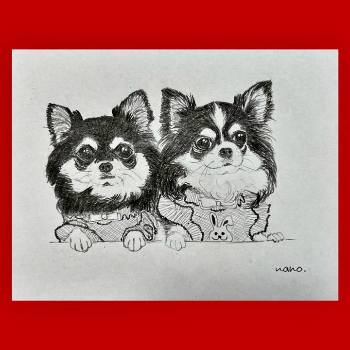 Fa1cd765 dc6c 4989 9b4d e564014471c9 1691452152103