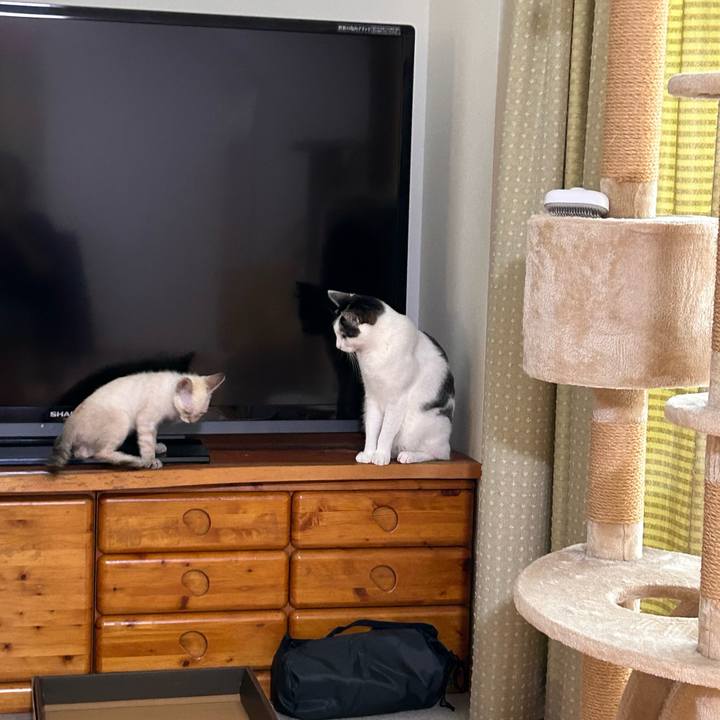 Fa1d30a7 4ccf 4857 84c2 2c0a8026d88f 1721625063043