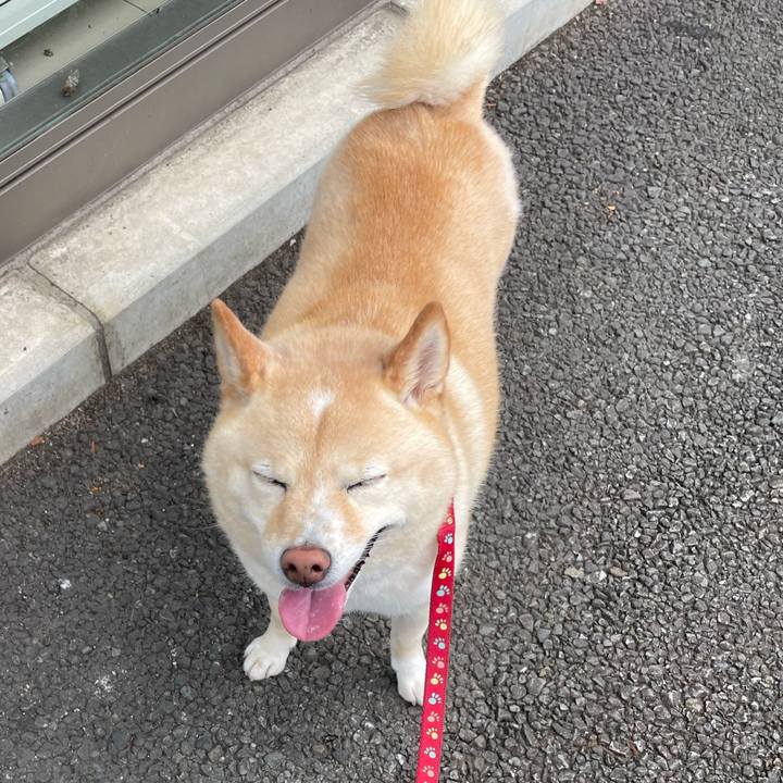 Fa1d34ce 23dd 460c b5c2 f7f5f1474c2d 1721218724977