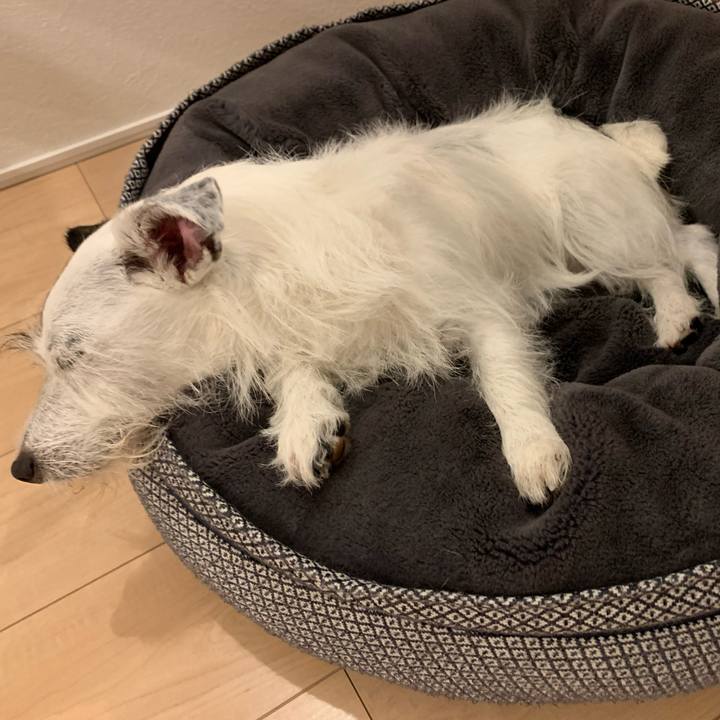 Fa1d3db1 60f0 42b4 9ed7 6e4c75ecee94 1660301376302