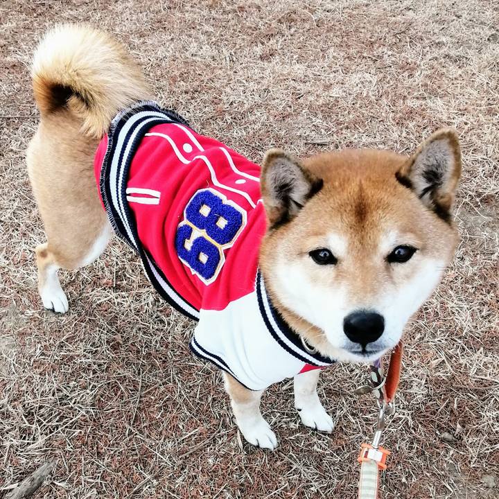 Fa1d6cb6 6b4c 4eb2 9280 87df9e409ad7 1609894924718