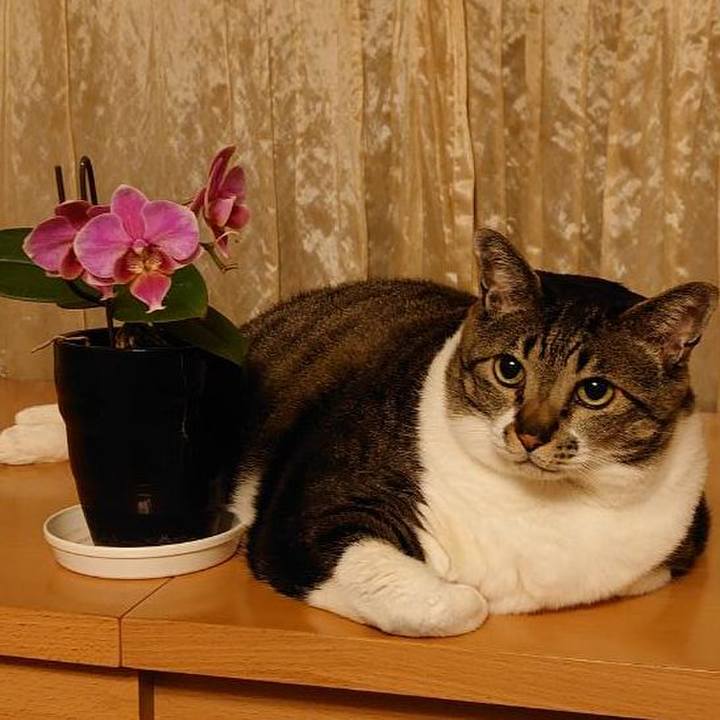 Fa1d9a9e 40d5 42ad b68a 5ea6545e5711 1587046288321