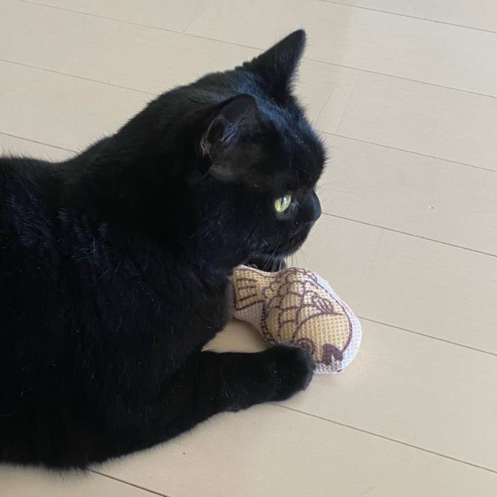 Fa1dd746 c09b 47ea 8336 7d9f67a6edb2 1704495060886