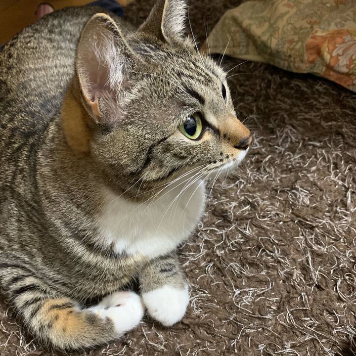 Fa1e3119 1dea 41c4 b5d1 8807ad7e433a 1547733284865