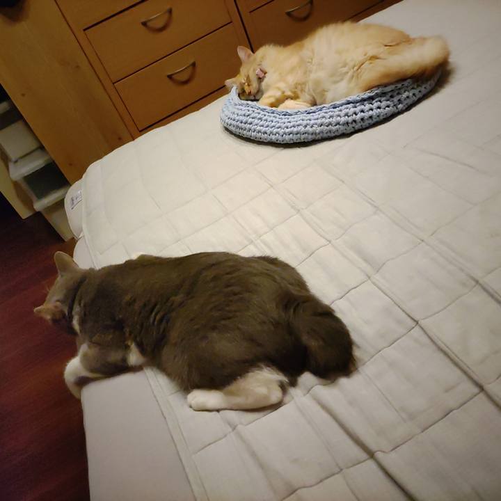 Fa1e75da c373 4072 a62c 721f989f3e7f 1662903440141