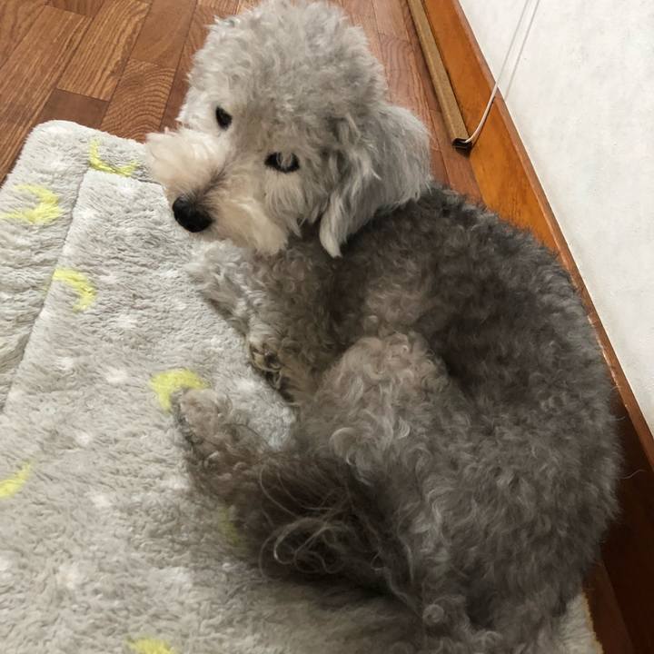 Fa1e878c db16 4a7d 96d0 997b50de4b3c 1532301204200