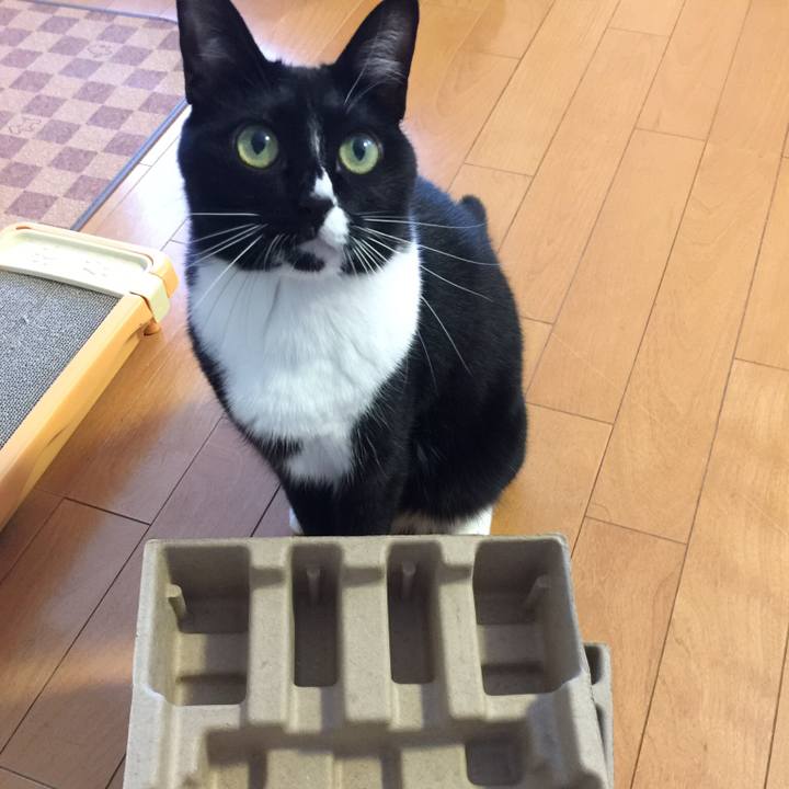 Fa1e9ba1 dffd 4977 aa6c 153bb7e11ad7 1508035080259