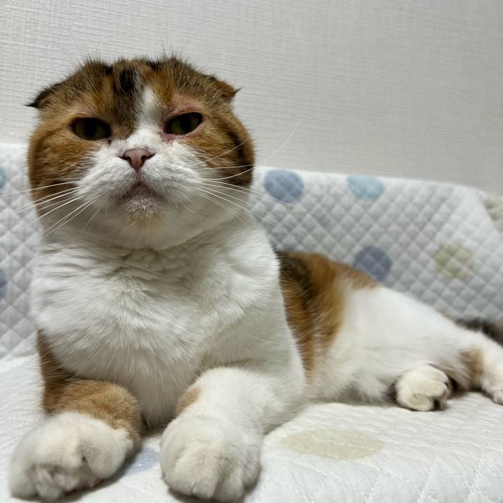 Fa1ea1a9 b1f7 4def 9bb2 13ab111bb9ea 1718667905098