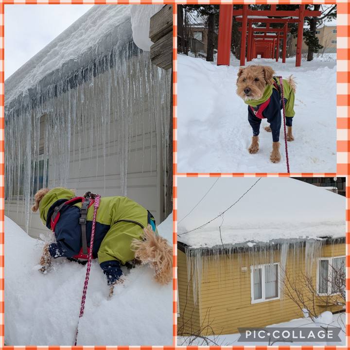 Fa1eaa98 69ae 4287 a0f9 5d343789c007 1769913325830