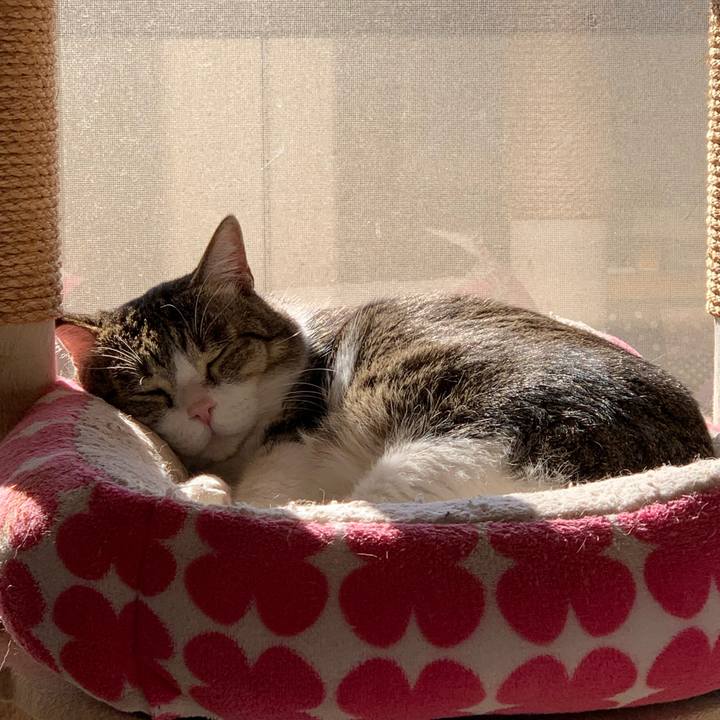 Fa1ec94d 1077 44da 8224 43d012ff448d 1604222263535