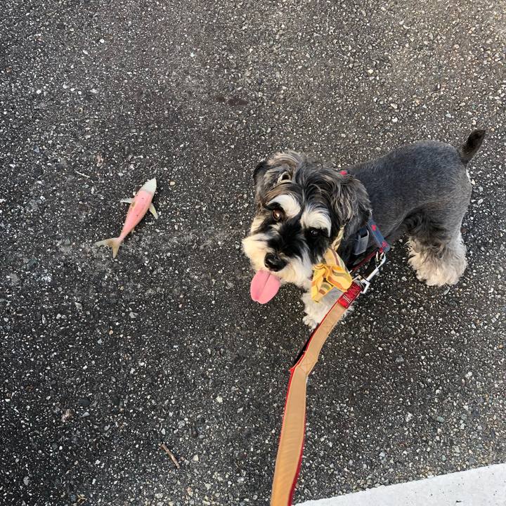 Fa1ef40e 383e 4649 b607 16bdb0bdf559 1656710165887