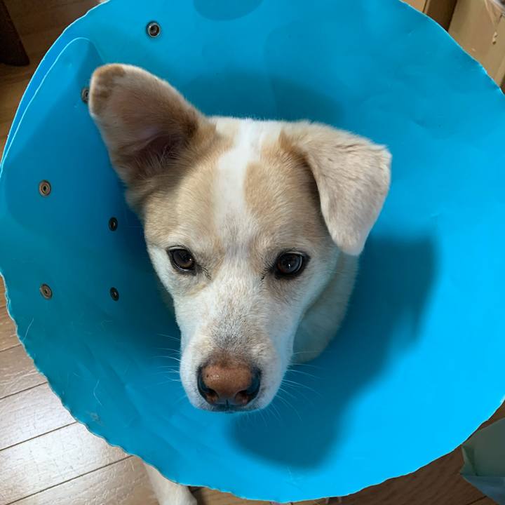 Fa1f1216 46e9 4f90 a41a 4fd810efb271 1605658987643