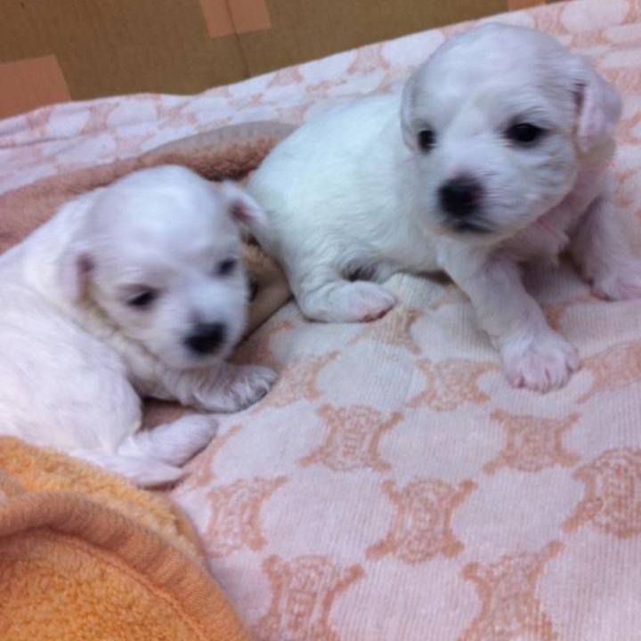 Fa1f8581 6447 4f20 a019 c5019592c6f4 1729381570925