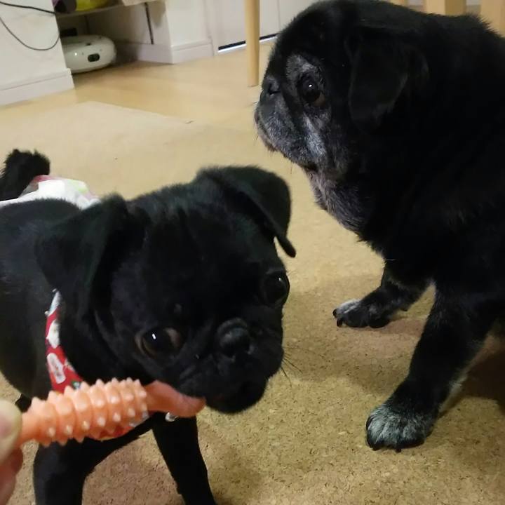 Fa1f9d24 166a 486e 8499 61ce7ad4e560 1542088397089