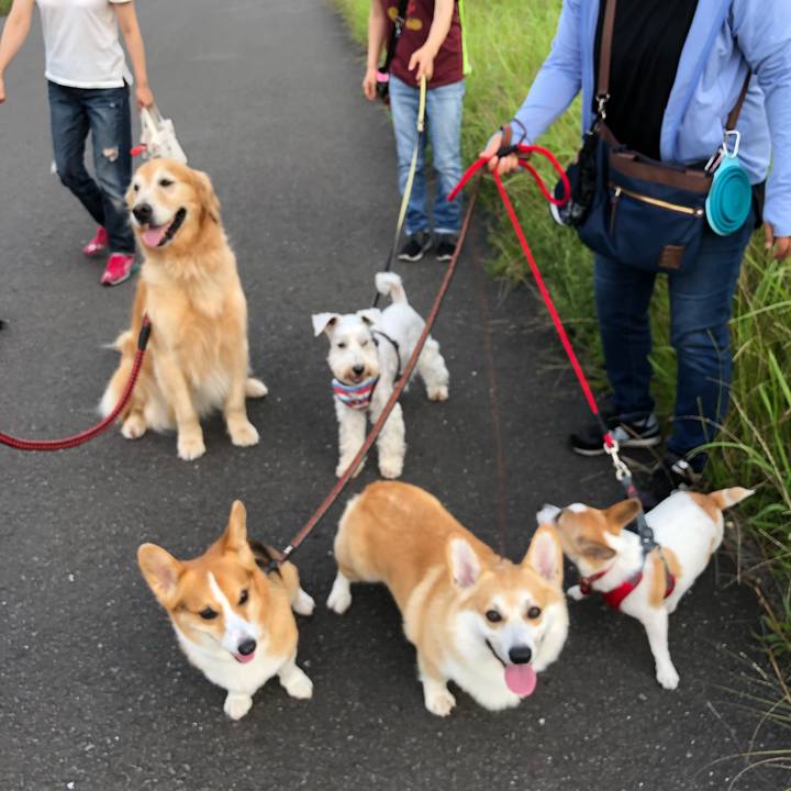 Fa1facdf d127 4f69 8eea 80f5c36c4690 1562244902058