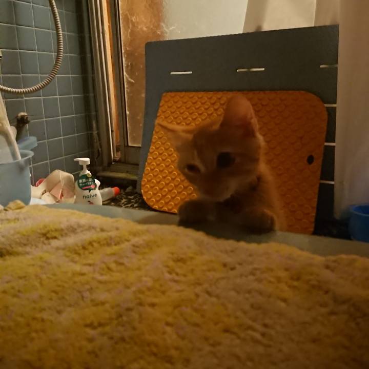 Fa1fbf8f 7c16 4dea 92b6 557b552e2bc8 1630237236850