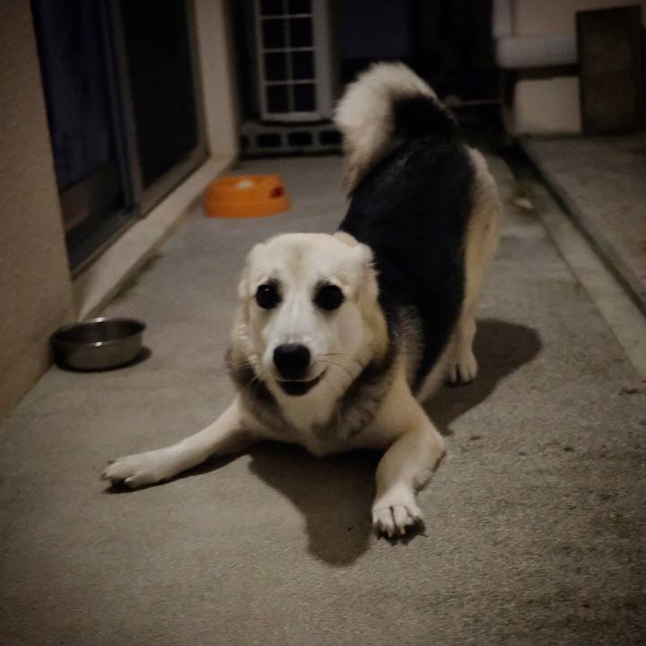 Fa1fc33e 6e2f 402f bf3d 45f75406ae5d 1566176707745