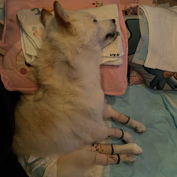 Fa1ff561 72ed 4934 a6dc ae39d7ba6c96 1694357235613