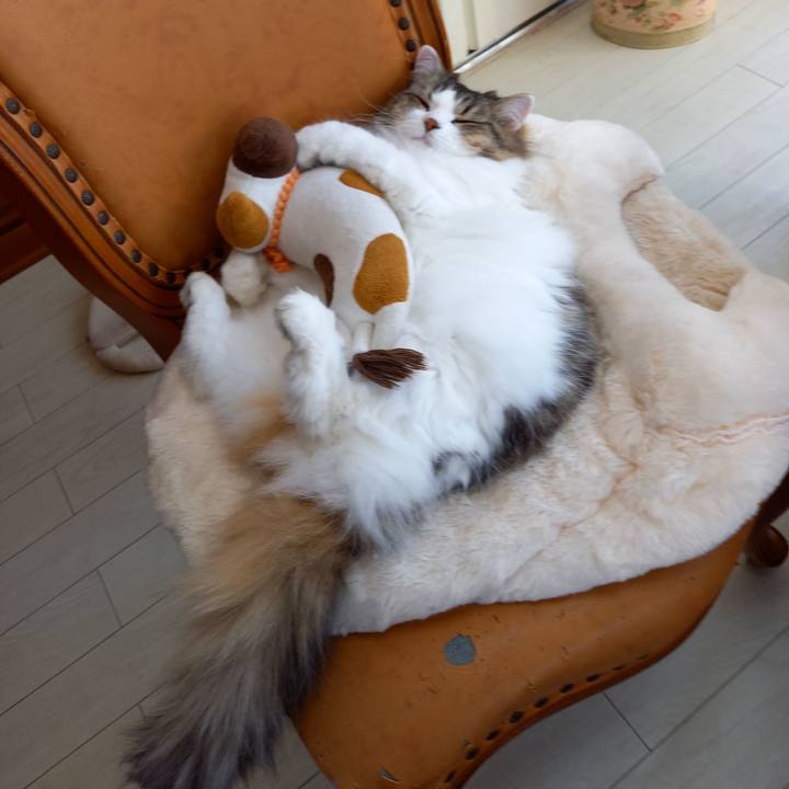 Fa1ffa1f a6ba 4c7f b527 9a10324f6b66 1606041098438