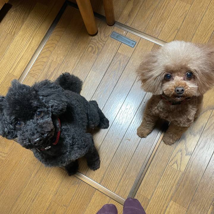 Fa1fff2d 7165 4c75 97ff b4fc54b6012a 1642826861369