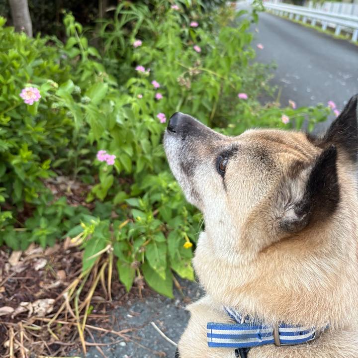 Fa200216 99ba 4cbd 81a3 3f70b180c662 1752586269033